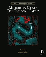 Thomas Weimbs - Methods in Kidney Cell Biology Part A, Inbunden