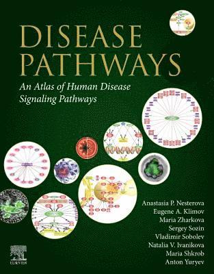 Disease Pathways 1