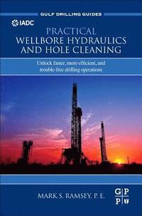 bokomslag Practical Wellbore Hydraulics and Hole Cleaning