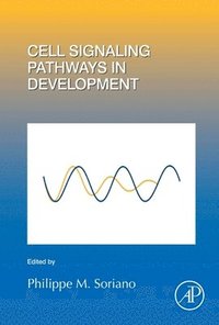bokomslag Cell Signaling Pathways in Development