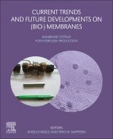 Angelo Basile, Teko Napporn - Current Trends and Future Developments on (Bio-) Membranes, Häftad