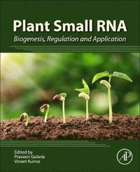 bokomslag Plant Small RNA