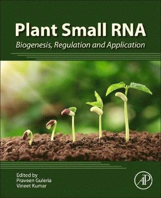 Plant Small RNA 1
