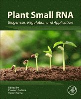 Praveen Guleria, Vineet Kumar - Plant Small RNA, Häftad