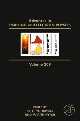bokomslag Advances in Imaging and Electron Physics