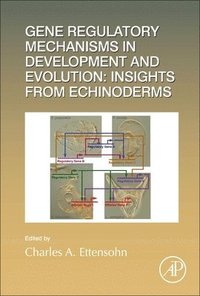 bokomslag Gene Regulatory Mechanisms in Development and Evolution: Insights from Echinoderms
