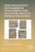 bokomslag Gene Regulatory Mechanisms in Development and Evolution: Insights from Echinoderms