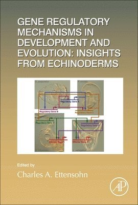 bokomslag Gene Regulatory Mechanisms in Development and Evolution: Insights from Echinoderms