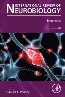 Subhash C. Pandey - Epigenetics, Inbunden