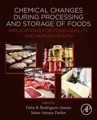 bokomslag Chemical Changes During Processing and Storage of Foods