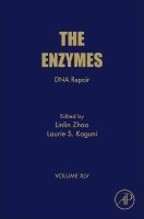 Linlin Zhao, Laurie S. Kaguni - DNA Repair, Inbunden