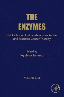 bokomslag Chick Chorioallantoic Membrane Model and Precision Cancer Therapy