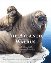 bokomslag The Atlantic Walrus