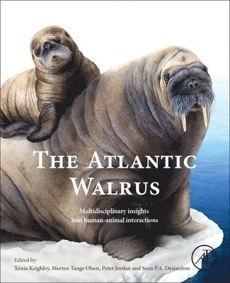 The Atlantic Walrus 1