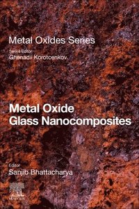 bokomslag Metal Oxide Glass Nanocomposites