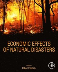bokomslag Economic Effects of Natural Disasters