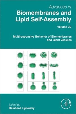 bokomslag Multiresponsive Behavior of Biomembranes and Giant Vesicles