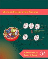 bokomslag Chemical Biology of the Genome