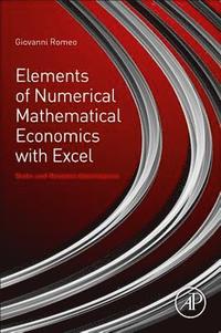 bokomslag Elements of Numerical Mathematical Economics with Excel