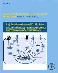 bokomslag Breaking Tolerance to Pancreatic Cancer Unresponsiveness to Chemotherapy