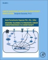Benjamin Bonavida - Breaking Tolerance to Pancreatic Cancer Unresponsiveness to Chemotherapy, Inbunden