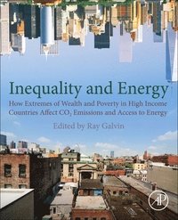 bokomslag Galvin - Economic Inequality and Energy Consumption in Developed Countries