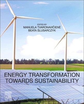 bokomslag Energy Transformation towards Sustainability