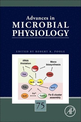 bokomslag Advances in Microbial Physiology