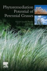 bokomslag Phytoremediation Potential of Perennial Grasses