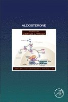 bokomslag Aldosterone