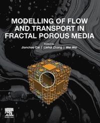 bokomslag Modelling of Flow and Transport in Fractal Porous Media