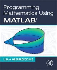 bokomslag Programming Mathematics Using MATLAB