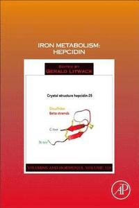 bokomslag Iron Metabolism: Hepcidin