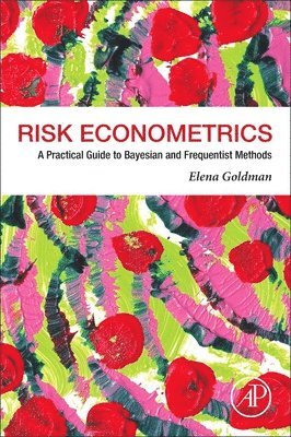 bokomslag Risk Econometrics: A Practical Guide to Bayesian and Frequentist Methods