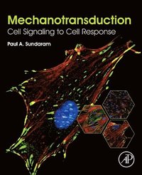 bokomslag Mechanotransduction