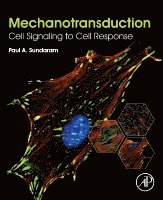 bokomslag Mechanotransduction