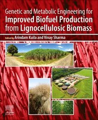 bokomslag Genetic and Metabolic Engineering for Improved Biofuel Production from Lignocellulosic Biomass