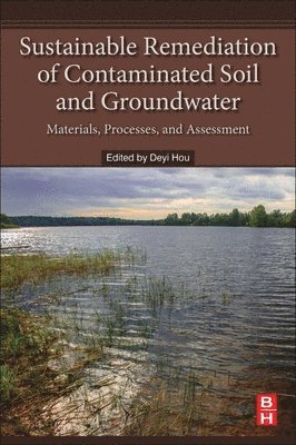 Sustainable Remediation of Contaminated Soil and Groundwater 1