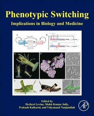 Herbert Levine, Mohit Kumar Jolly, Prakash Kulkarni, Vidyanand Nanjundiah - Phenotypic Switching, Häftad