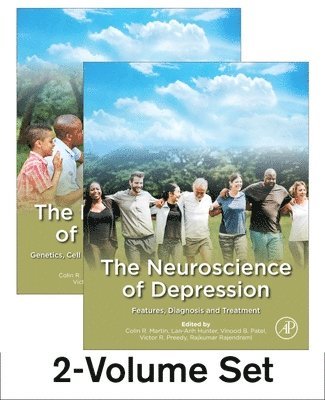 Colin R. Martin, Lan-Anh Hunter, Vinood Patel, Victor R. Preedy, Rajkumar Rajendram - The Neuroscience of Depression, Häftad