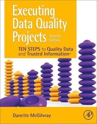 bokomslag Executing Data Quality Projects