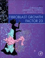 Christian Faul, Kenneth White, Orlando Gutierrez - Fibroblast Growth Factor 23, Häftad