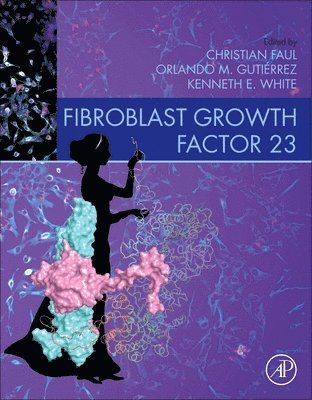 bokomslag Fibroblast Growth Factor 23