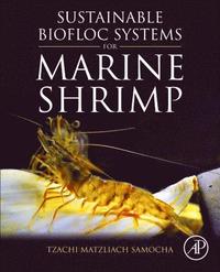 bokomslag Sustainable Biofloc Systems for Marine Shrimp