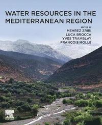 bokomslag Water Resources in the Mediterranean Region