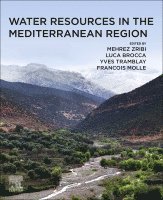 Mehrez Zribi, Luca Brocca, Yves Tramblay, Francois Molle - Water Resources in the Mediterranean Region, Häftad