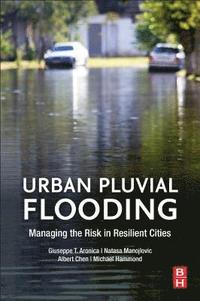 bokomslag Urban Pluvial Flooding