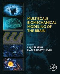bokomslag Multiscale Biomechanical Modeling of the Brain
