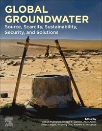 bokomslag Global Groundwater