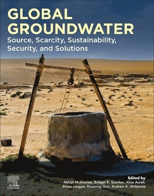 bokomslag Global Groundwater